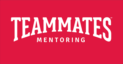teammates mentoring